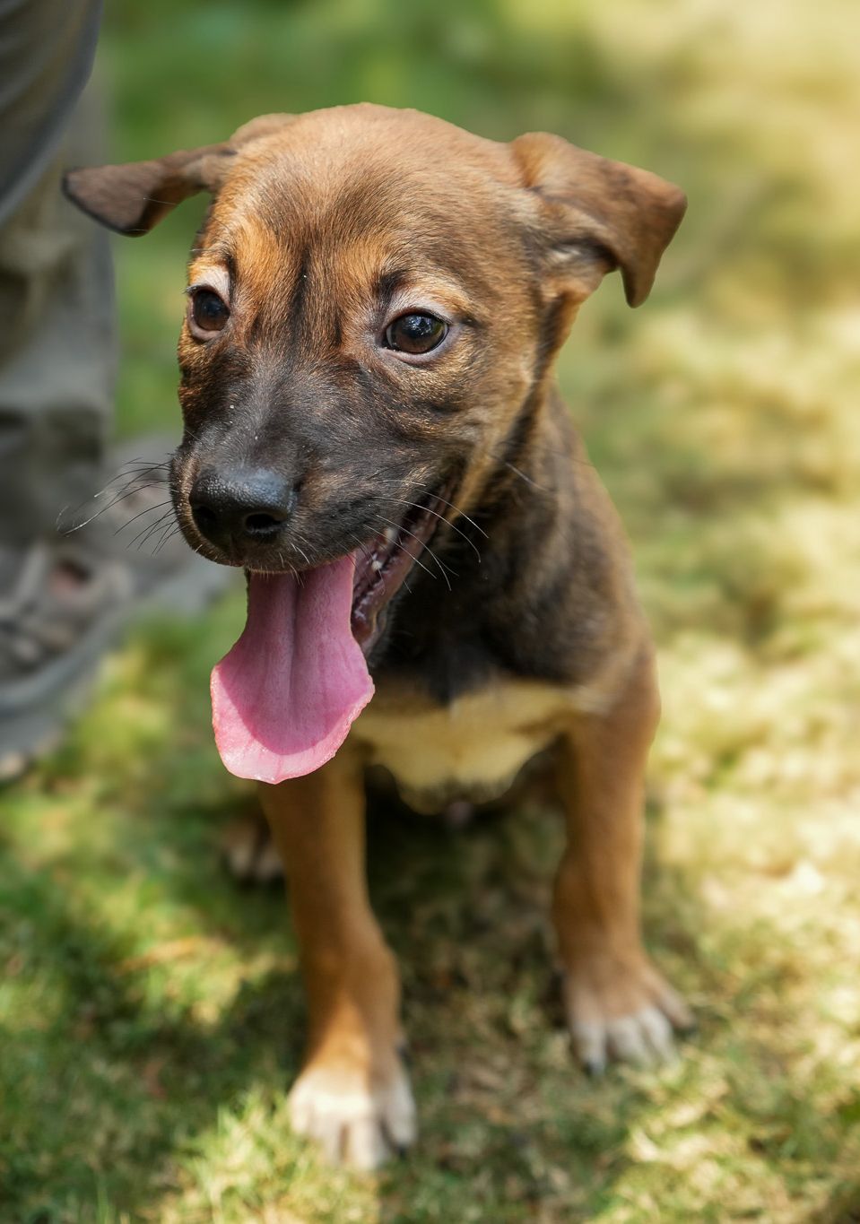Photo of Coco